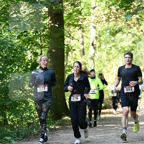 06.10.2024 - Bramfelder Halbmarathon 2024 Dr. Thomas Lammeyer http://msf.ph/oto/7339229 06.10.2024 10:31:22 Laufen 277, 276, 138, 552 meine-sportfotos.de