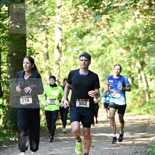 06.10.2024 - Bramfelder Halbmarathon 2024 Dr. Thomas Lammeyer http://msf.ph/oto/7339230 06.10.2024 10:31:22 Laufen 276, 438, 552, 417 meine-sportfotos.de