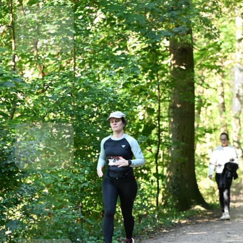 06.10.2024 - Bramfelder Halbmarathon 2024 Dr. Thomas Lammeyer http://msf.ph/oto/7339258 06.10.2024 10:31:30 Laufen  meine-sportfotos.de