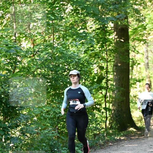 06.10.2024 - Bramfelder Halbmarathon 2024 Dr. Thomas Lammeyer http://msf.ph/oto/7339259 06.10.2024 10:31:30 Laufen 48 meine-sportfotos.de