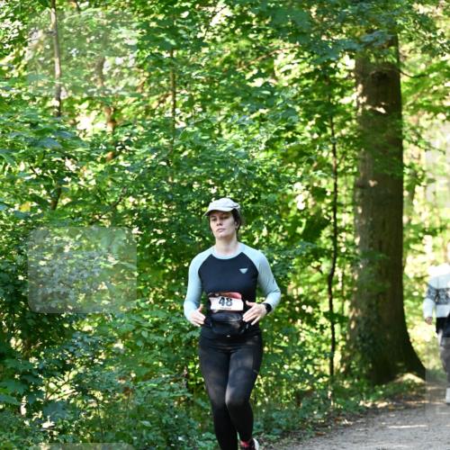 06.10.2024 - Bramfelder Halbmarathon 2024 Dr. Thomas Lammeyer http://msf.ph/oto/7339260 06.10.2024 10:31:30 Laufen 48 meine-sportfotos.de