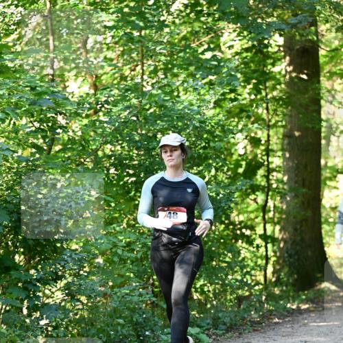 06.10.2024 - Bramfelder Halbmarathon 2024 Dr. Thomas Lammeyer http://msf.ph/oto/7339261 06.10.2024 10:31:30 Laufen 48 meine-sportfotos.de