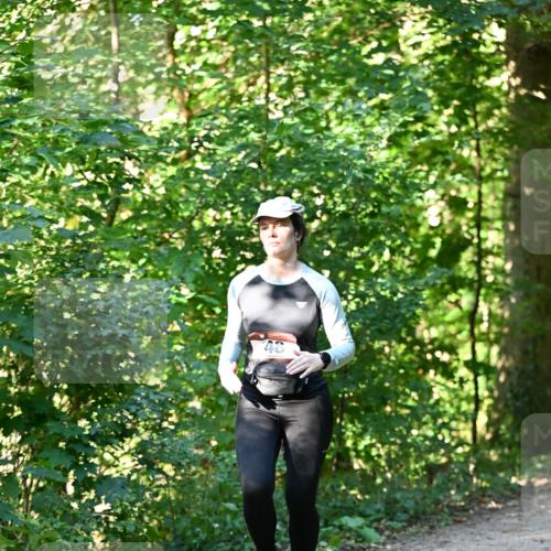 06.10.2024 - Bramfelder Halbmarathon 2024 Dr. Thomas Lammeyer http://msf.ph/oto/7339263 06.10.2024 10:31:31 Laufen 48 meine-sportfotos.de