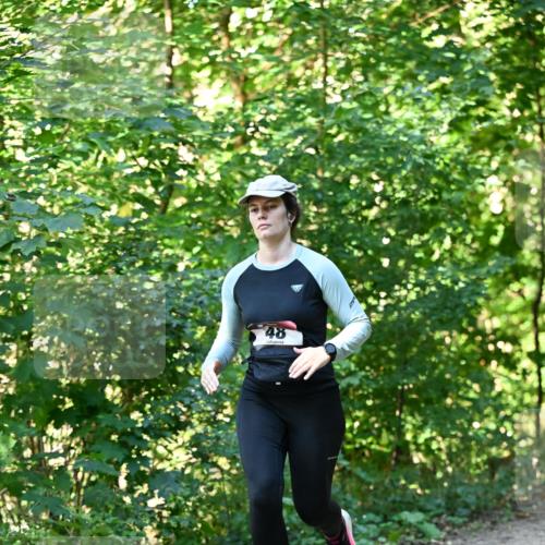 06.10.2024 - Bramfelder Halbmarathon 2024 Dr. Thomas Lammeyer http://msf.ph/oto/7339265 06.10.2024 10:31:31 Laufen 48 meine-sportfotos.de