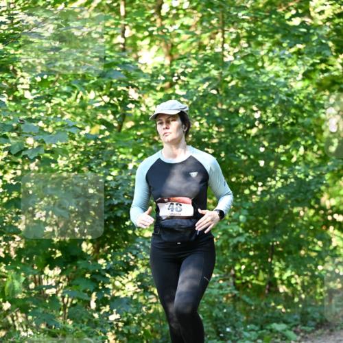 06.10.2024 - Bramfelder Halbmarathon 2024 Dr. Thomas Lammeyer http://msf.ph/oto/7339266 06.10.2024 10:31:31 Laufen 40 meine-sportfotos.de