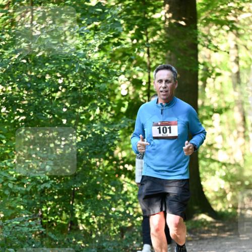 06.10.2024 - Bramfelder Halbmarathon 2024 Dr. Thomas Lammeyer http://msf.ph/oto/7339276 06.10.2024 10:31:34 Laufen 101 meine-sportfotos.de