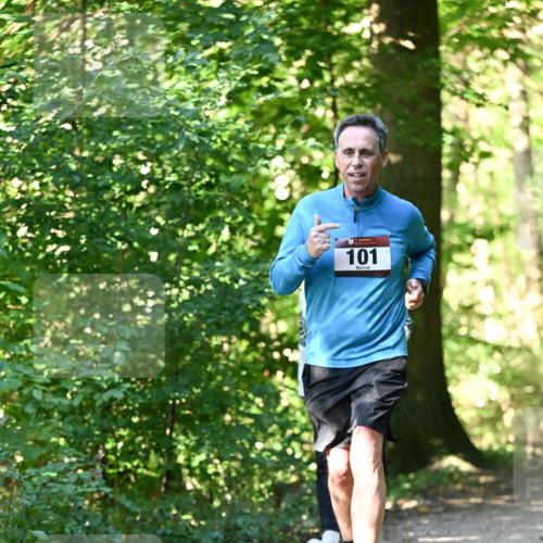 06.10.2024 - Bramfelder Halbmarathon 2024 Dr. Thomas Lammeyer http://msf.ph/oto/7339277 06.10.2024 10:31:34 Laufen 101 meine-sportfotos.de