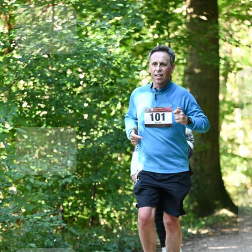 06.10.2024 - Bramfelder Halbmarathon 2024 Dr. Thomas Lammeyer http://msf.ph/oto/7339279 06.10.2024 10:31:34 Laufen 101 meine-sportfotos.de