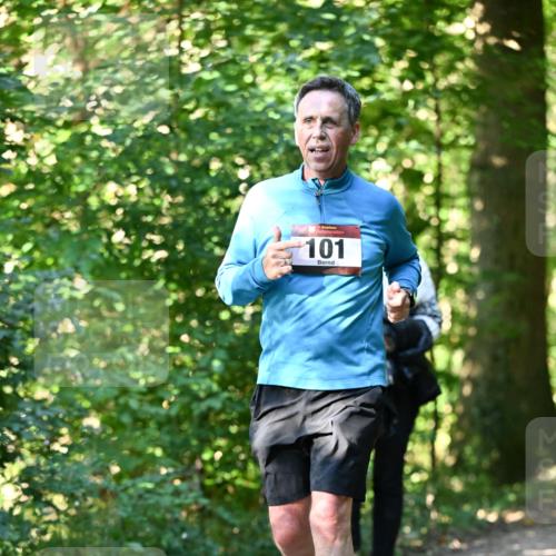 06.10.2024 - Bramfelder Halbmarathon 2024 Dr. Thomas Lammeyer http://msf.ph/oto/7339283 06.10.2024 10:31:35 Laufen 101 meine-sportfotos.de