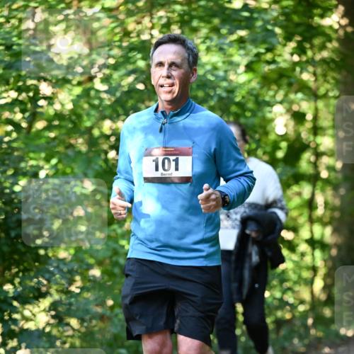 06.10.2024 - Bramfelder Halbmarathon 2024 Dr. Thomas Lammeyer http://msf.ph/oto/7339286 06.10.2024 10:31:35 Laufen 101 meine-sportfotos.de