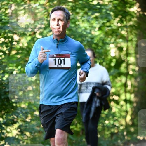 06.10.2024 - Bramfelder Halbmarathon 2024 Dr. Thomas Lammeyer http://msf.ph/oto/7339287 06.10.2024 10:31:35 Laufen 101 meine-sportfotos.de
