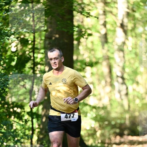 06.10.2024 - Bramfelder Halbmarathon 2024 Dr. Thomas Lammeyer http://msf.ph/oto/7339297 06.10.2024 10:31:48 Laufen 477, 26 meine-sportfotos.de