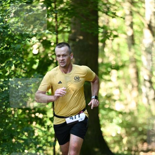 06.10.2024 - Bramfelder Halbmarathon 2024 Dr. Thomas Lammeyer http://msf.ph/oto/7339299 06.10.2024 10:31:49 Laufen 26 meine-sportfotos.de