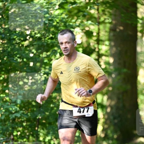 06.10.2024 - Bramfelder Halbmarathon 2024 Dr. Thomas Lammeyer http://msf.ph/oto/7339302 06.10.2024 10:31:49 Laufen 477, 26 meine-sportfotos.de