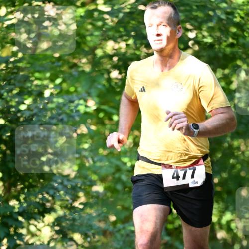 06.10.2024 - Bramfelder Halbmarathon 2024 Dr. Thomas Lammeyer http://msf.ph/oto/7339306 06.10.2024 10:31:50 Laufen 477, 26 meine-sportfotos.de