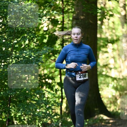 06.10.2024 - Bramfelder Halbmarathon 2024 Dr. Thomas Lammeyer http://msf.ph/oto/7339322 06.10.2024 10:32:17 Laufen 298 meine-sportfotos.de