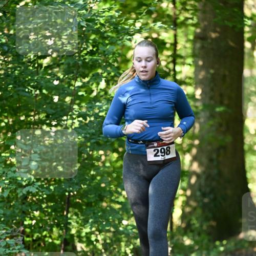 06.10.2024 - Bramfelder Halbmarathon 2024 Dr. Thomas Lammeyer http://msf.ph/oto/7339327 06.10.2024 10:32:18 Laufen 298 meine-sportfotos.de
