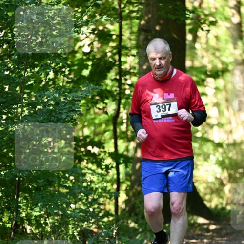 06.10.2024 - Bramfelder Halbmarathon 2024 Dr. Thomas Lammeyer http://msf.ph/oto/7339367 06.10.2024 10:32:38 Laufen 167, 397 meine-sportfotos.de