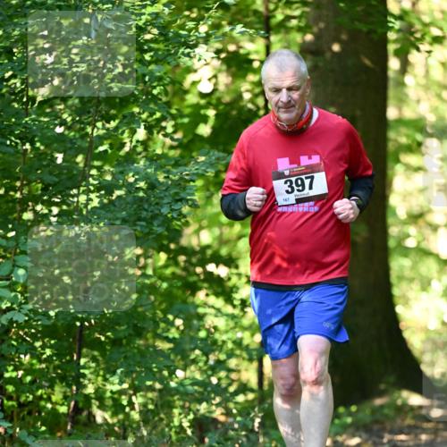 06.10.2024 - Bramfelder Halbmarathon 2024 Dr. Thomas Lammeyer http://msf.ph/oto/7339370 06.10.2024 10:32:38 Laufen 397, 167 meine-sportfotos.de