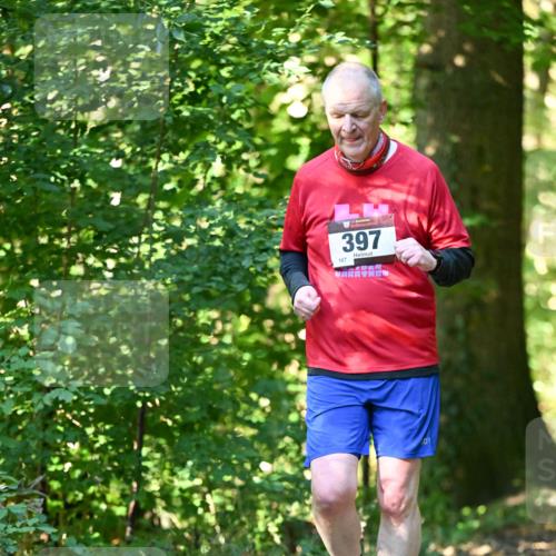 06.10.2024 - Bramfelder Halbmarathon 2024 Dr. Thomas Lammeyer http://msf.ph/oto/7339372 06.10.2024 10:32:38 Laufen 397, 167 meine-sportfotos.de