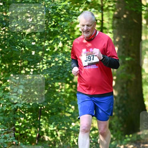 06.10.2024 - Bramfelder Halbmarathon 2024 Dr. Thomas Lammeyer http://msf.ph/oto/7339373 06.10.2024 10:32:38 Laufen 167, 397 meine-sportfotos.de