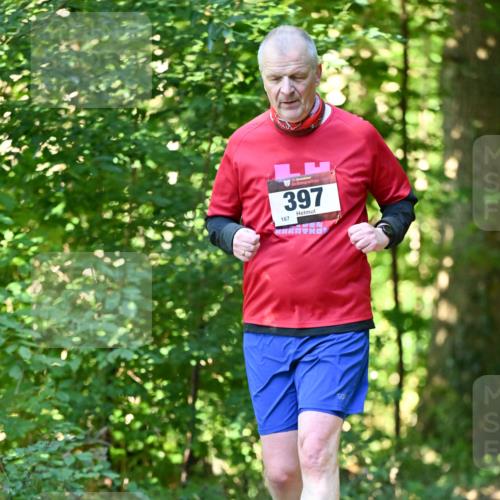 06.10.2024 - Bramfelder Halbmarathon 2024 Dr. Thomas Lammeyer http://msf.ph/oto/7339376 06.10.2024 10:32:39 Laufen 33, 397, 167 meine-sportfotos.de