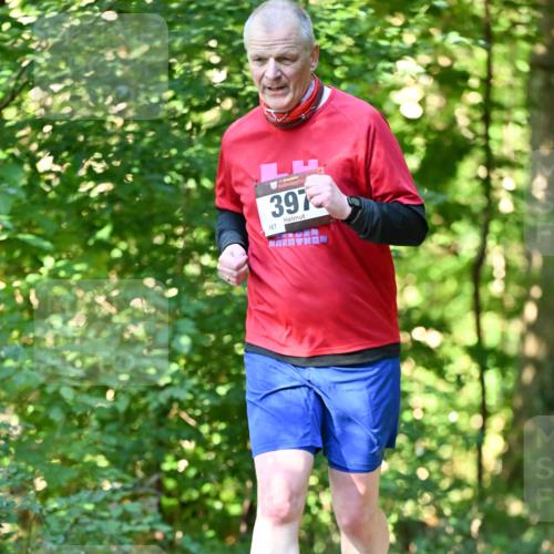 06.10.2024 - Bramfelder Halbmarathon 2024 Dr. Thomas Lammeyer http://msf.ph/oto/7339378 06.10.2024 10:32:39 Laufen 167, 397 meine-sportfotos.de