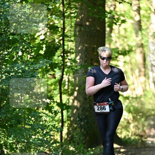 06.10.2024 - Bramfelder Halbmarathon 2024 Dr. Thomas Lammeyer http://msf.ph/oto/7339380 06.10.2024 10:32:42 Laufen 286 meine-sportfotos.de