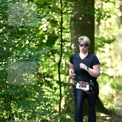 06.10.2024 - Bramfelder Halbmarathon 2024 Dr. Thomas Lammeyer http://msf.ph/oto/7339382 06.10.2024 10:32:42 Laufen 286 meine-sportfotos.de