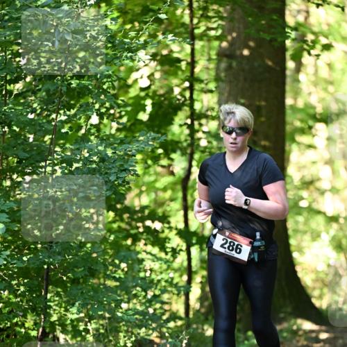 06.10.2024 - Bramfelder Halbmarathon 2024 Dr. Thomas Lammeyer http://msf.ph/oto/7339383 06.10.2024 10:32:42 Laufen 286 meine-sportfotos.de