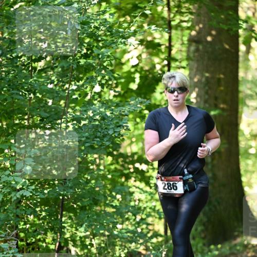 06.10.2024 - Bramfelder Halbmarathon 2024 Dr. Thomas Lammeyer http://msf.ph/oto/7339385 06.10.2024 10:32:42 Laufen 286 meine-sportfotos.de