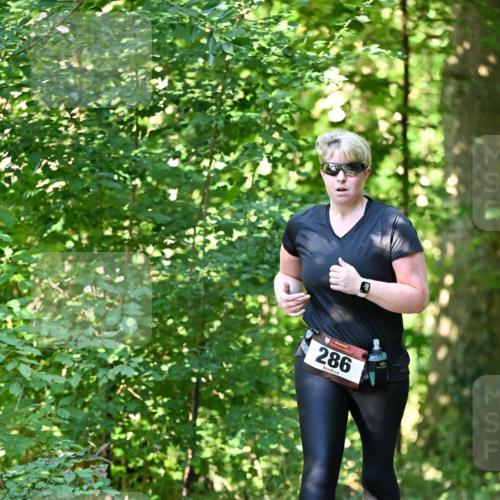 06.10.2024 - Bramfelder Halbmarathon 2024 Dr. Thomas Lammeyer http://msf.ph/oto/7339388 06.10.2024 10:32:43 Laufen 286 meine-sportfotos.de