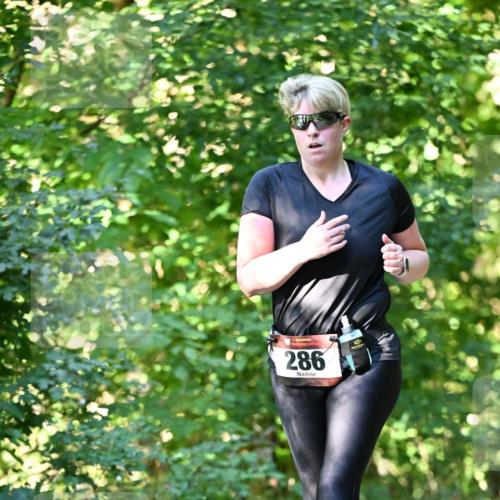 06.10.2024 - Bramfelder Halbmarathon 2024 Dr. Thomas Lammeyer http://msf.ph/oto/7339396 06.10.2024 10:32:44 Laufen 286 meine-sportfotos.de
