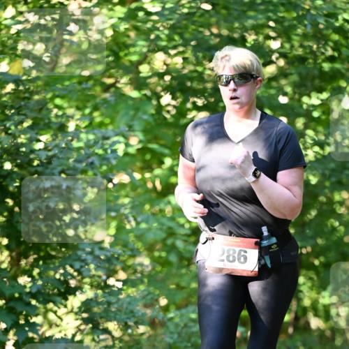 06.10.2024 - Bramfelder Halbmarathon 2024 Dr. Thomas Lammeyer http://msf.ph/oto/7339398 06.10.2024 10:32:44 Laufen 286 meine-sportfotos.de