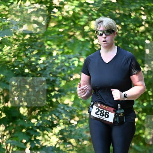 06.10.2024 - Bramfelder Halbmarathon 2024 Dr. Thomas Lammeyer http://msf.ph/oto/7339400 06.10.2024 10:32:44 Laufen 33, 286 meine-sportfotos.de