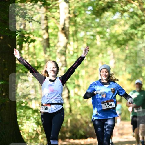 06.10.2024 - Bramfelder Halbmarathon 2024 Dr. Thomas Lammeyer http://msf.ph/oto/7339404 06.10.2024 10:32:53 Laufen 155, 156 meine-sportfotos.de