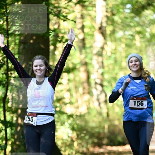 06.10.2024 - Bramfelder Halbmarathon 2024 Dr. Thomas Lammeyer http://msf.ph/oto/7339413 06.10.2024 10:32:54 Laufen 155, 156, 122 meine-sportfotos.de