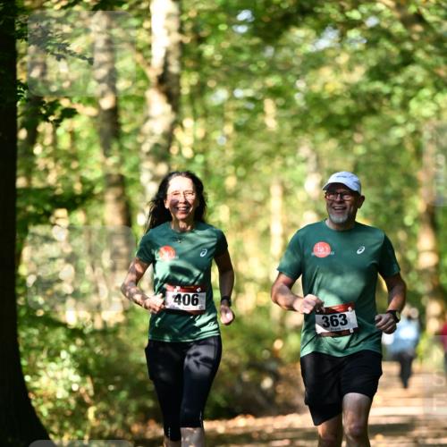 06.10.2024 - Bramfelder Halbmarathon 2024 Dr. Thomas Lammeyer http://msf.ph/oto/7339426 06.10.2024 10:32:57 Laufen 406, 363 meine-sportfotos.de