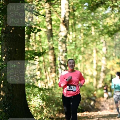 06.10.2024 - Bramfelder Halbmarathon 2024 Dr. Thomas Lammeyer http://msf.ph/oto/7339450 06.10.2024 10:33:06 Laufen 516 meine-sportfotos.de