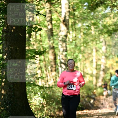 06.10.2024 - Bramfelder Halbmarathon 2024 Dr. Thomas Lammeyer http://msf.ph/oto/7339451 06.10.2024 10:33:06 Laufen 516 meine-sportfotos.de