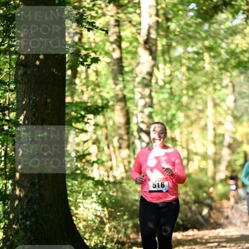06.10.2024 - Bramfelder Halbmarathon 2024 Dr. Thomas Lammeyer http://msf.ph/oto/7339452 06.10.2024 10:33:06 Laufen 516 meine-sportfotos.de