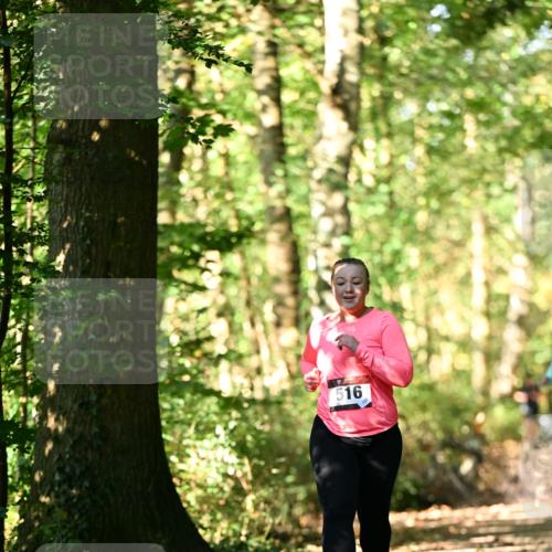 06.10.2024 - Bramfelder Halbmarathon 2024 Dr. Thomas Lammeyer http://msf.ph/oto/7339453 06.10.2024 10:33:06 Laufen 516 meine-sportfotos.de