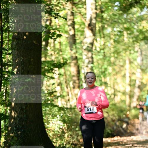 06.10.2024 - Bramfelder Halbmarathon 2024 Dr. Thomas Lammeyer http://msf.ph/oto/7339454 06.10.2024 10:33:07 Laufen 516 meine-sportfotos.de