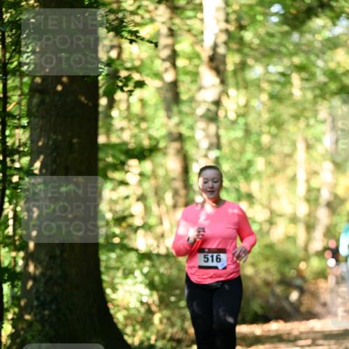 06.10.2024 - Bramfelder Halbmarathon 2024 Dr. Thomas Lammeyer http://msf.ph/oto/7339455 06.10.2024 10:33:07 Laufen 516 meine-sportfotos.de