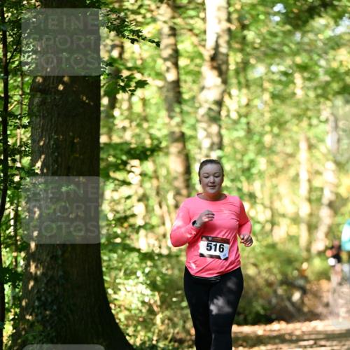 06.10.2024 - Bramfelder Halbmarathon 2024 Dr. Thomas Lammeyer http://msf.ph/oto/7339456 06.10.2024 10:33:07 Laufen 516 meine-sportfotos.de