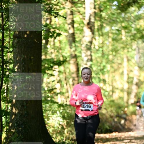 06.10.2024 - Bramfelder Halbmarathon 2024 Dr. Thomas Lammeyer http://msf.ph/oto/7339457 06.10.2024 10:33:07 Laufen 516 meine-sportfotos.de