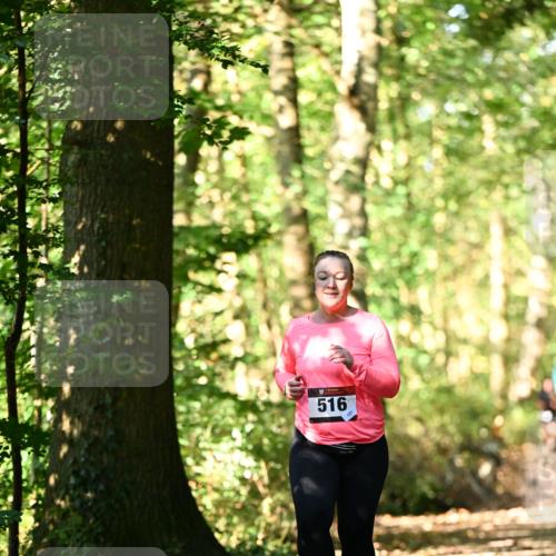 06.10.2024 - Bramfelder Halbmarathon 2024 Dr. Thomas Lammeyer http://msf.ph/oto/7339458 06.10.2024 10:33:07 Laufen 516 meine-sportfotos.de