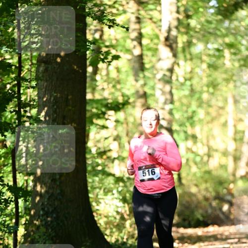 06.10.2024 - Bramfelder Halbmarathon 2024 Dr. Thomas Lammeyer http://msf.ph/oto/7339459 06.10.2024 10:33:07 Laufen 516 meine-sportfotos.de