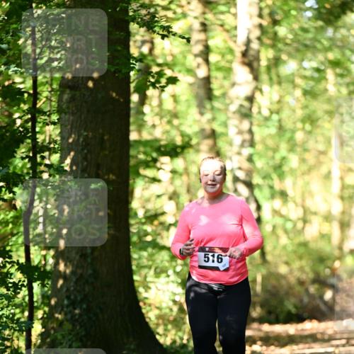 06.10.2024 - Bramfelder Halbmarathon 2024 Dr. Thomas Lammeyer http://msf.ph/oto/7339460 06.10.2024 10:33:07 Laufen 516 meine-sportfotos.de
