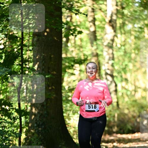 06.10.2024 - Bramfelder Halbmarathon 2024 Dr. Thomas Lammeyer http://msf.ph/oto/7339463 06.10.2024 10:33:08 Laufen 516 meine-sportfotos.de